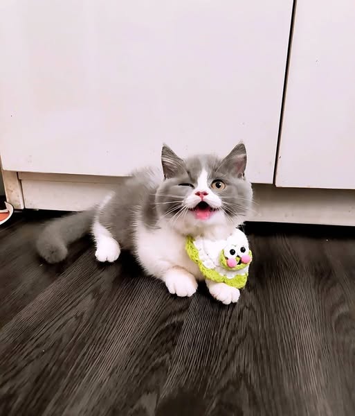 Munchkin
