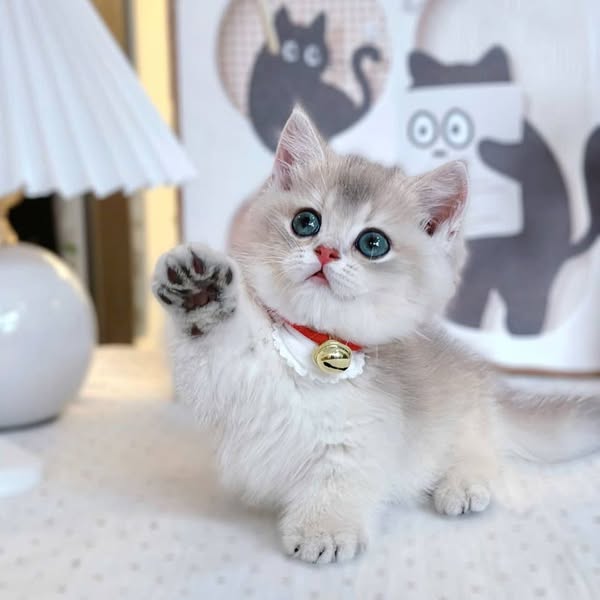 Munchkin