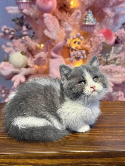 Munchkin