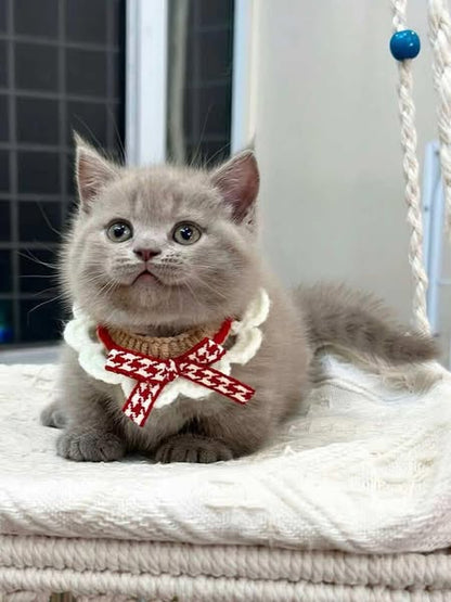 Munchkin