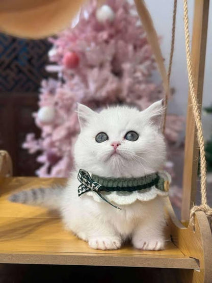 Munchkin