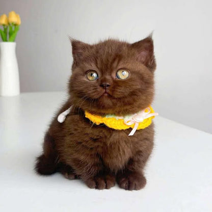 Munchkin