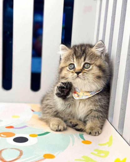 Munchkin
