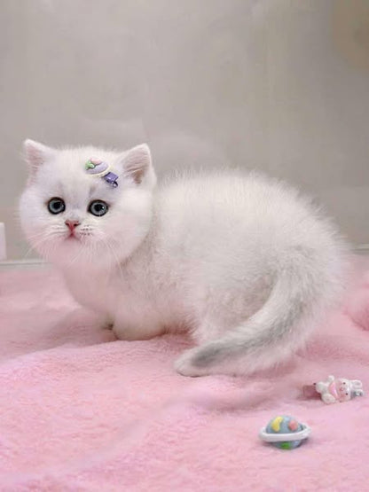 Munchkin
