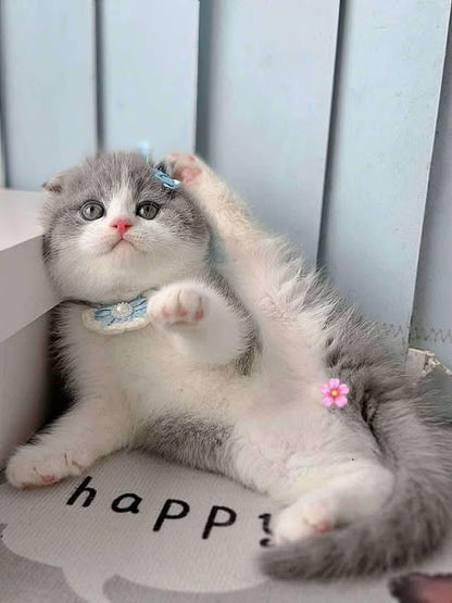 Munchkin Fold