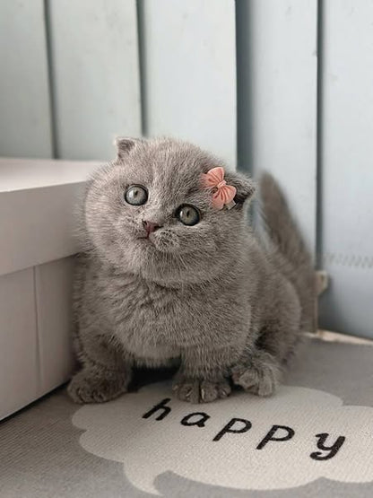 Munchkin