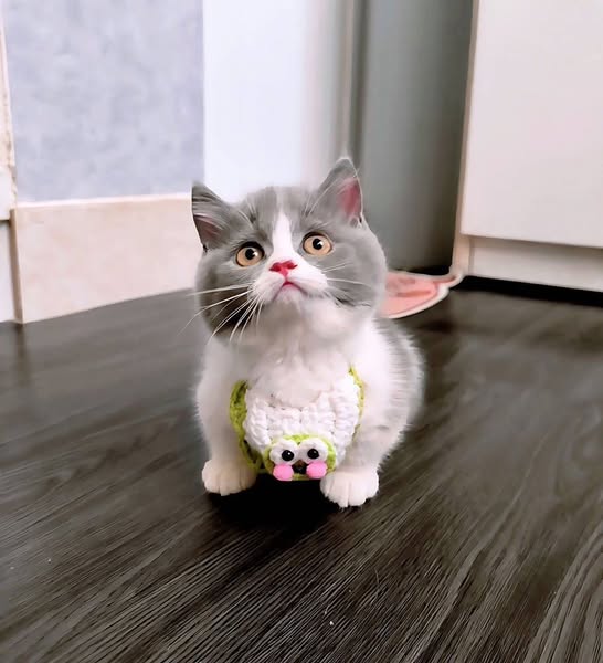 Munchkin