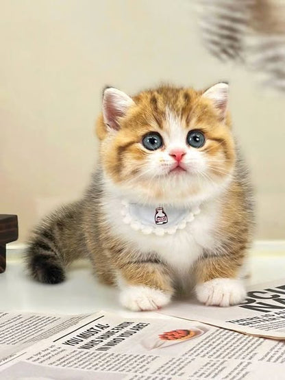Munchkin