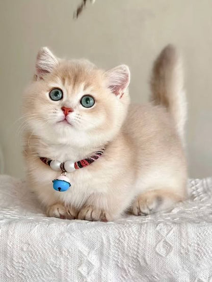 Munchkin