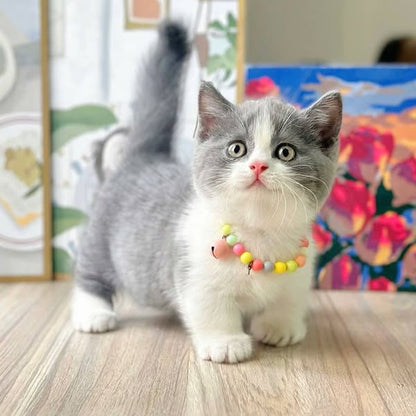 Munchkin