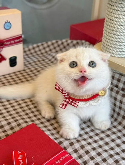 Munchkin Fold
