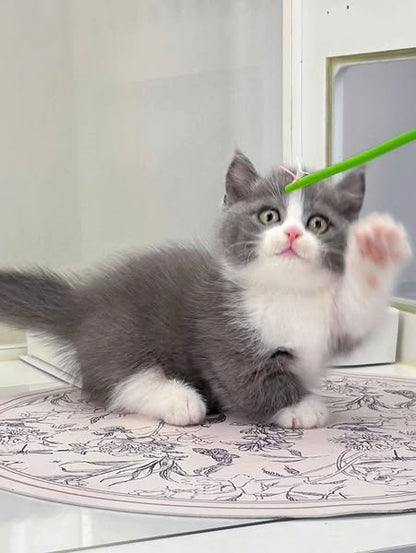 Munchkin