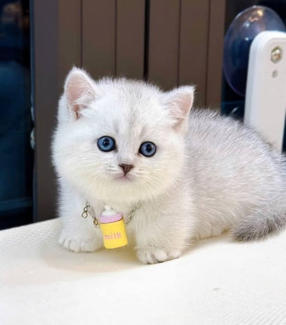 Munchkin