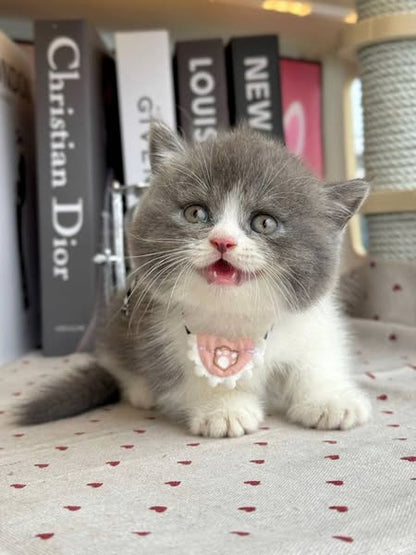 Munchkin
