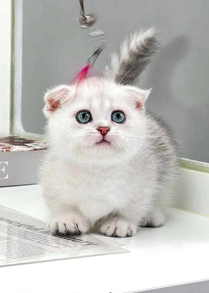 Munchkin Fold