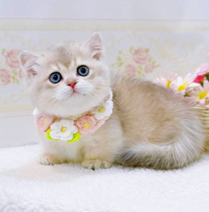 Munchkin