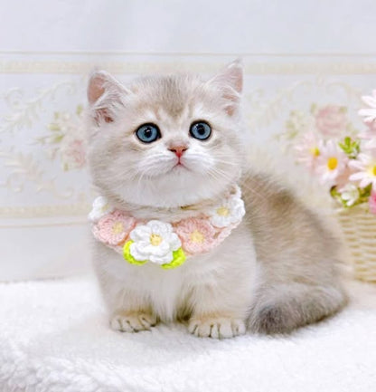Munchkin