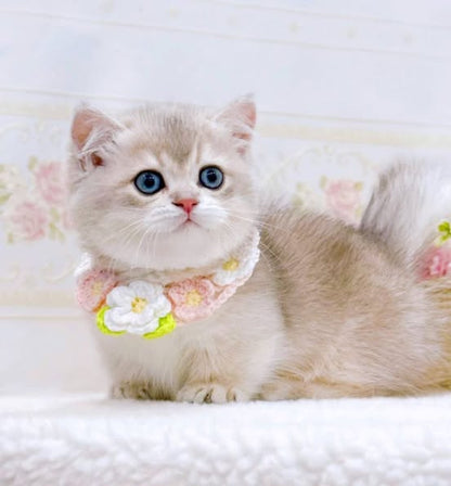 Munchkin