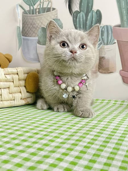Munchkin