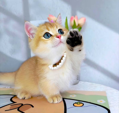 Munchkin