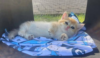 Munchkin