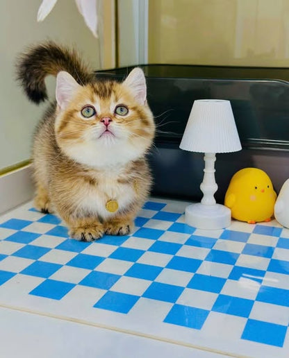 Munchkin