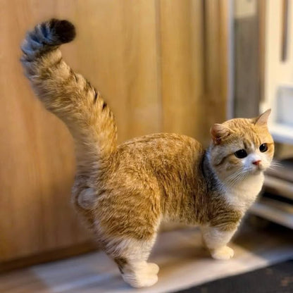 Munchkin
