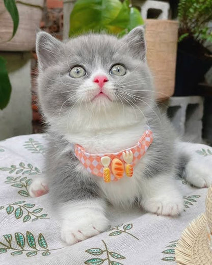 Munchkin