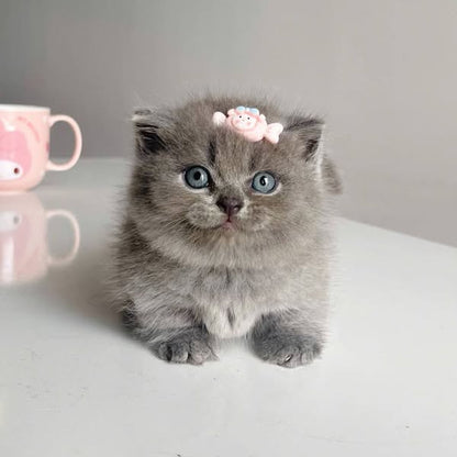 Munchkin Fold