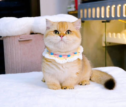 Munchkin
