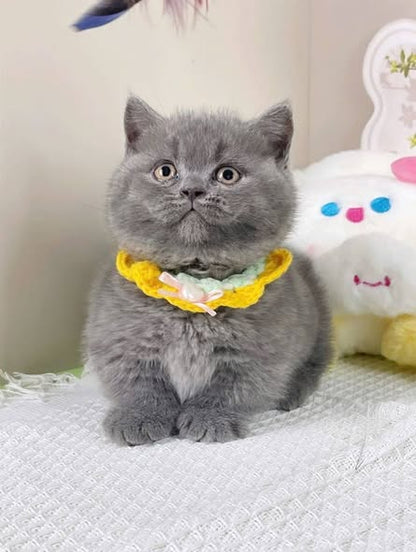 Munchkin