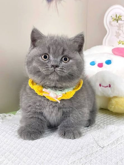Munchkin