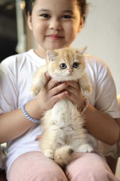 Munchkin