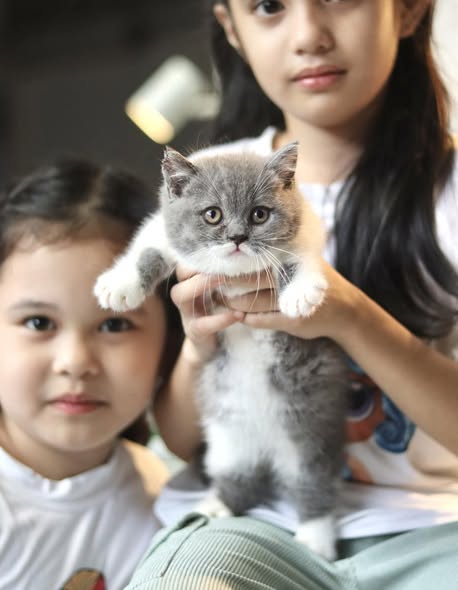 Munchkin