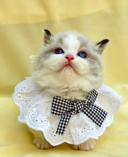 Munchkin