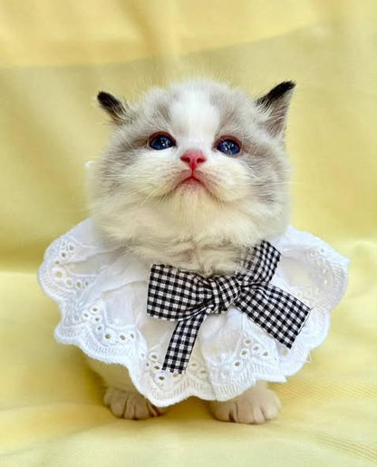Munchkin