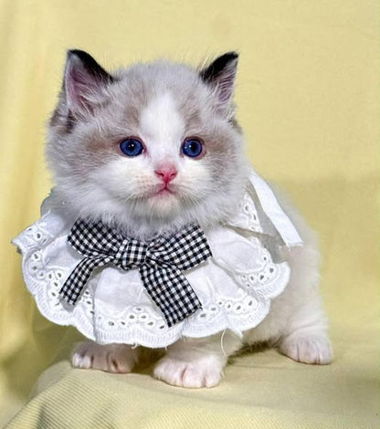 Munchkin