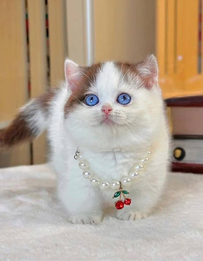 Munchkin